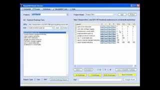 Google & Yahoo Rank Checker Software Tool