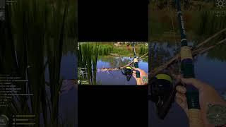 Тяжелый трофей вьюн на ахтубе=0 #fishing   #gaming #russianfishing4