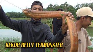 REKOR MANCING BELUT TERBESAR