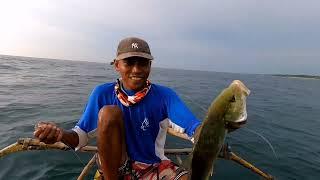 Vlog#27 Handline jig / trevally strikes