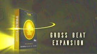 Dreas Beats Gross Beat Bank - 125 Gross Beat Presets