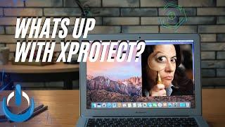 XProtect Update/Black Friday Announcement