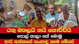 රතු බතලයි නයි කොච්චියි | පොල් කාලා තේ බොමු | ආරී අක්කගේ පංකාදු කෑම මේසේ