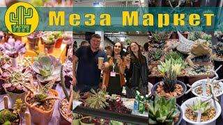 Перезалив/Меза маркет/Столкнулась с плагиатом, как быть?