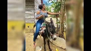 Mini Donkey Riding #ponyriding #horse #donkeyrace #ponyracinghorseriding