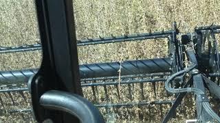 Gates harvest18