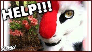 *URGENT!!!* | HELP ZABU MAKE MORE VIDEOS!!!