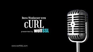 Doing WebSockets with cURL