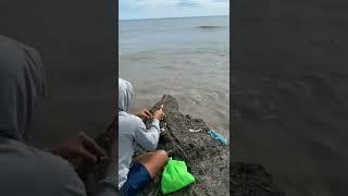 paling asik paling nikmat selain MANCING #shorts #mancing