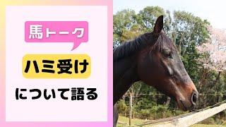 ハミ受けについて語る【馬トーク】