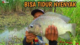 ngeri spot ini..!! mancing di air dangkal baru mulai langsung dapat nila monster