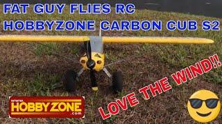 HOBBYZONE CARBON CUB S2-GREAT WIND FLYER by Fat Guy Flies RC