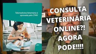 CONSULTA ON-LINE NA MEDICINA VETERINÁRIA? Pode?! Entenda nesse vídeo!