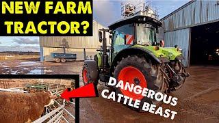 TRYING A NEW FARM TRACTOR | WILD BEAST CAUSING HAVOC #CRAWFORDFARMS #153