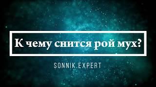 К чему снится рой мух - Онлайн Сонник Эксперт