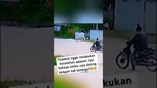 Video menegangkan 2024, bahaya selalu saja datang dengan tak terduga #shorts