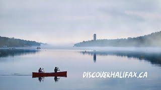 Discover Halifax - Fog