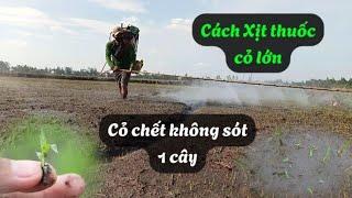 cách xịt quét cỏ lớn không sót 1 cây | Nông Dân Miền Tây.