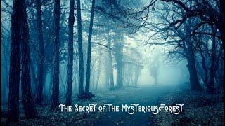 The Secret of the Mysterious Forest: An Audio Story / #bedtimestories #sleep