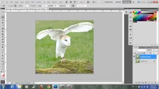 How To Use The Magnetic Lasso Tool In Photoshop CS5