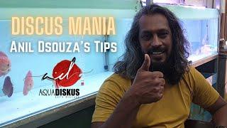 Discus Mania | Judges's Tips | Anil Dsouza