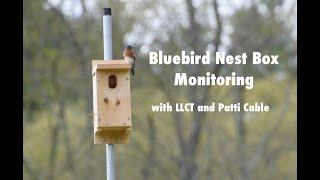 Bluebird Nest Box Monitoring with LLCT