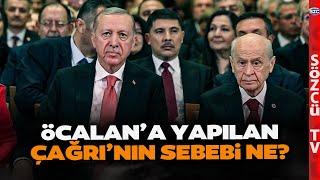 Saygı Öztürk Öcalan'a Yapılan Çağrının Sebeplerini Tek Tek Sıraladı... İşte Detaylar!