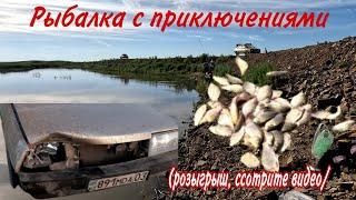 рыбалка с донками на карася. #рыбалка #природа #fishing