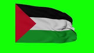 Palestine Flag on Green Screen