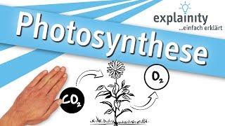 Photosynthese einfach erklärt (explainity® Erklärvideo)