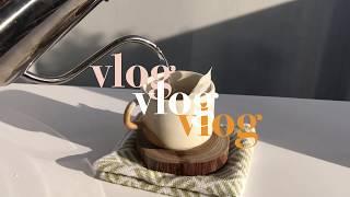 vlog || a calm day - chilling at home & studying