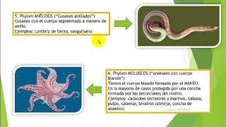 INTRODUCCIÓN A LA ZOOLOGÍA