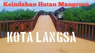 Keindahan Hutan Mangrove Langsa Aceh