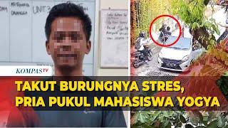 Pengemudi Mobil Pukul Mahasiswa di Yogyakarta, Pelaku Lindungi Burung Peliharaannya, Ini Kata Polisi