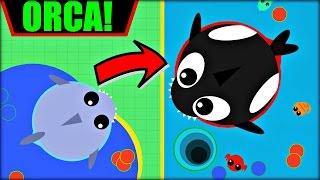 MOPE.IO ORCA  THE KILLER WHALE | WHALE AFTER SHARK | Mope.io OCEAN UPDATE | NEW UPDATE (Mope.io)