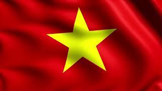 VIETNAM FLAG- WAVING VIETNAM FLAG