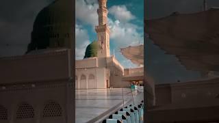 Arbi Naat #islamic #naat #newnaat #allah #ytshorts #islamicshorts