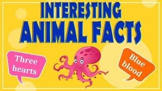 Interesting Animal Facts: We Bet You Didn’t Know! | Animal Facts for Kids