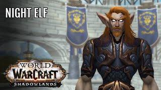 Night Elf Character Customization : World Of Warcraft Shadowland