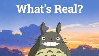 My Neighbor Totoro: What's Real? | Big Joel