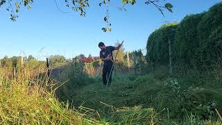 Mowing uneven terrain with a 60cm scythe, September 2024