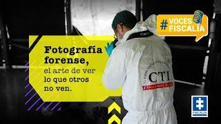 Fotografía forense, el arte de ver lo que otros no ven