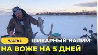 РЫБАЛКА НА 5 ДНЕЙ НА ОЗЕРО ВОЖЕ. 3 ЧАСТЬ. ШИКАРНЫЙ НАЛИМ