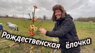  Рождественская ёлочка для лошадей! #рождество  #vlog 