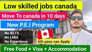 Canada  Free Work Visa in 10 Days | New immigration program ( P.E.I ) NO IELTS No LMIA