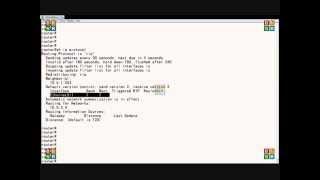 Cisco router show IP protocol commands