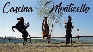 Cascina Monticello - Spettacoli Equestri