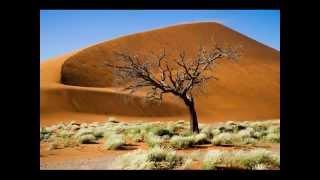 Amazing Colourful Sunrise and Sunset shadows on Dune 45, Namibia