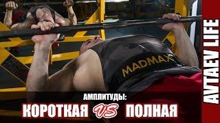 Минутка теории: Короткая vs Полная амплитуды [Avtaev LIFE]