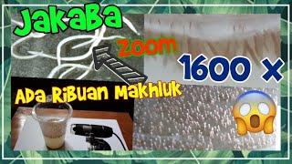 Biginilah Penampakan JAKABA di ZOOM 1600 X | Ternyata Ada Ribuan Makhluk | Ulas Tuntas Channel